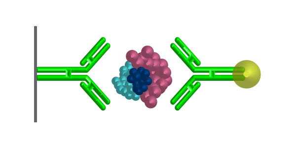 Antibody Matched Pairs