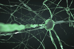 Brain cell