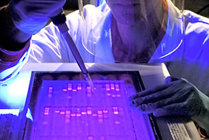 DNA & RNA Purification
