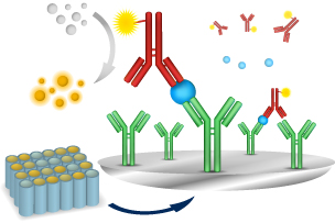 ELISA Kits