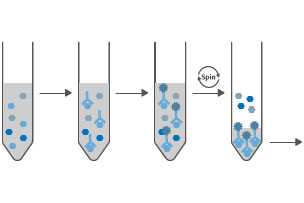 Immunoprecipitation Kits