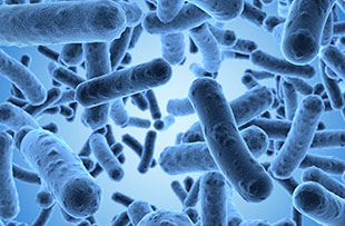 Infectious Disease