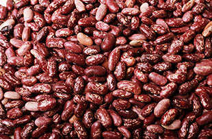 Lectins