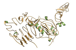 Proteins