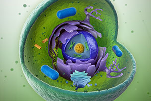 Biogenomics Molecular Biology