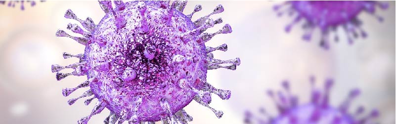 Cytomegalovirus image