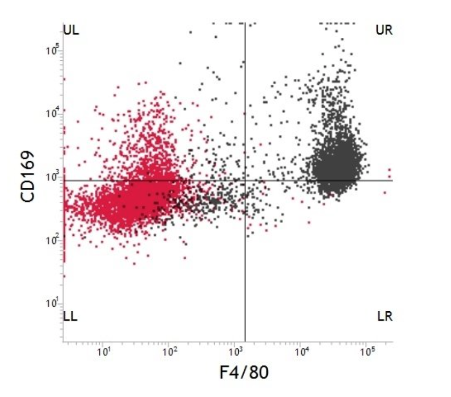 Flow Cytometry Image