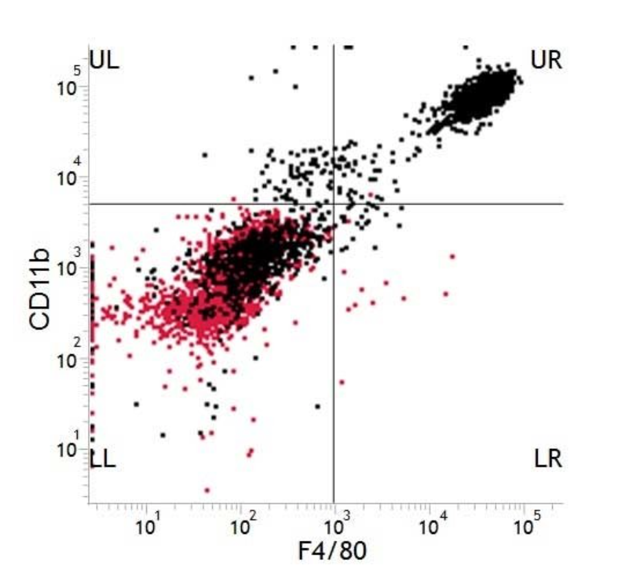 Flow Cytometry Image
