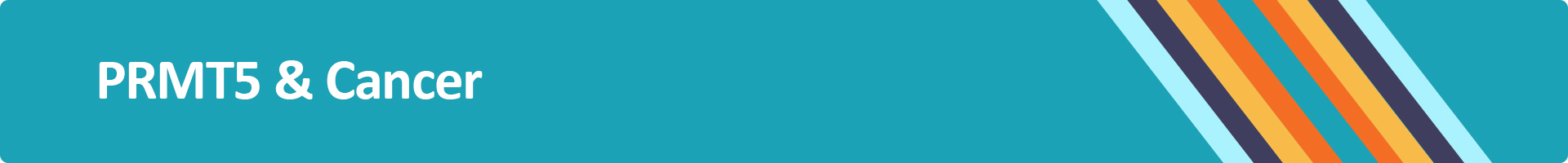 PRMT5 Banner