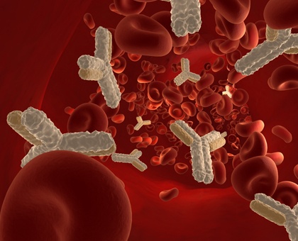 Recombinant Antibodies
