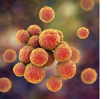 Staphylococcus Enterotoxins and Clostridium Difficile Toxins Promo