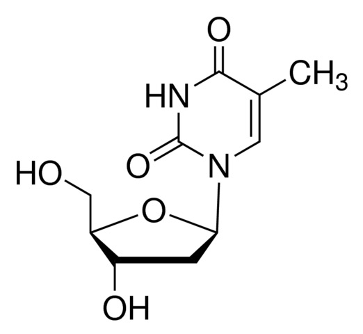 2’-Deoxythymidine (Thymidine)CAS：50-89-5